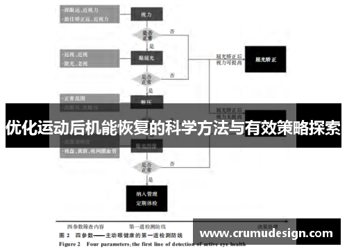 优化运动后机能恢复的科学方法与有效策略探索