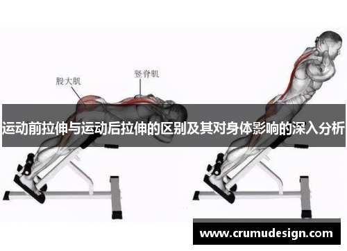 运动前拉伸与运动后拉伸的区别及其对身体影响的深入分析